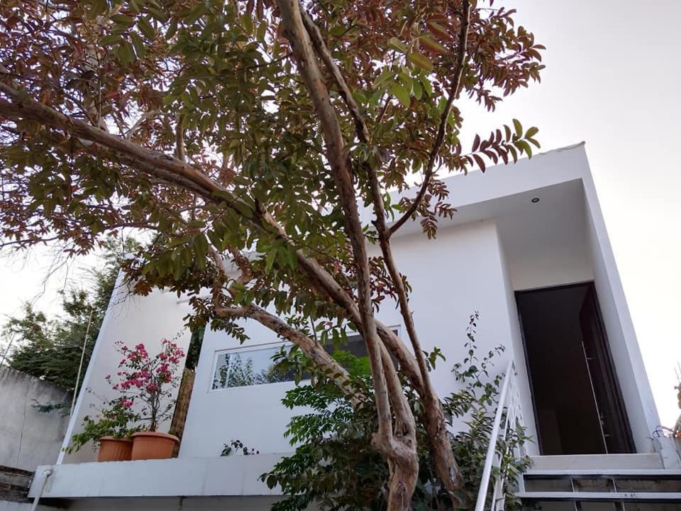 Villa Casa Mango 3 Amplio Departamento Río Verde Exterior foto
